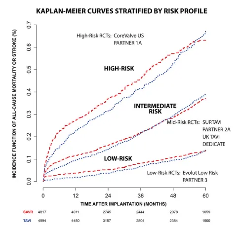  DOI: 10.1016/j.ijcard.2025.133524
