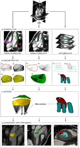 DOI: 10.1016/j.cmpb.2025.109151